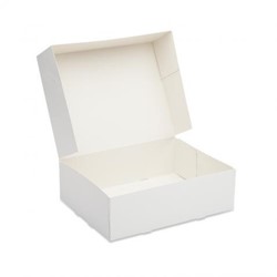 Gebaksdoos 25x25x8cm wit blanco H6