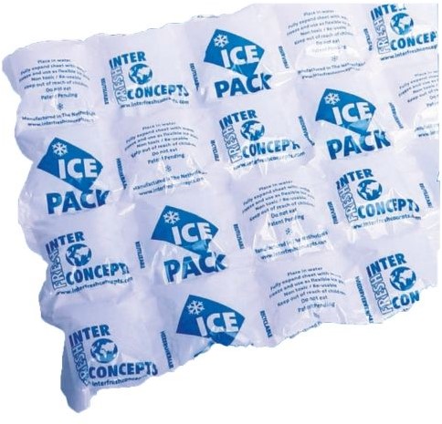 Kindercentrum vervolgens Einde Ice Pack XL 14x20 cm 2x3 stuks Barneveld verpakkingen