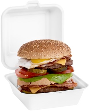 Suikerriet hamburgerbox 15,5x15,5x7,7cm (313.0007)