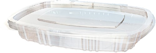 Bak + deksel Transparant 150cc - V61